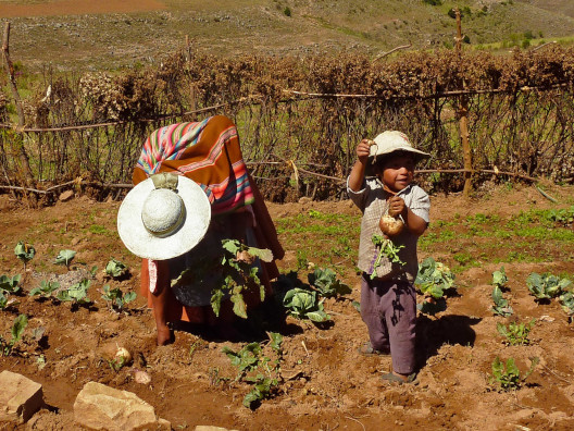 Familia campesina en el huerto