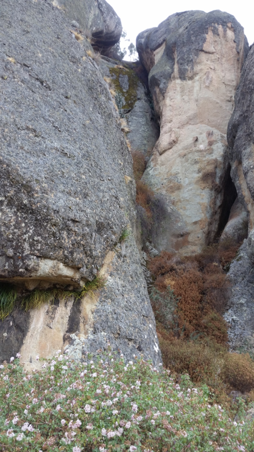 pared_piedras_1